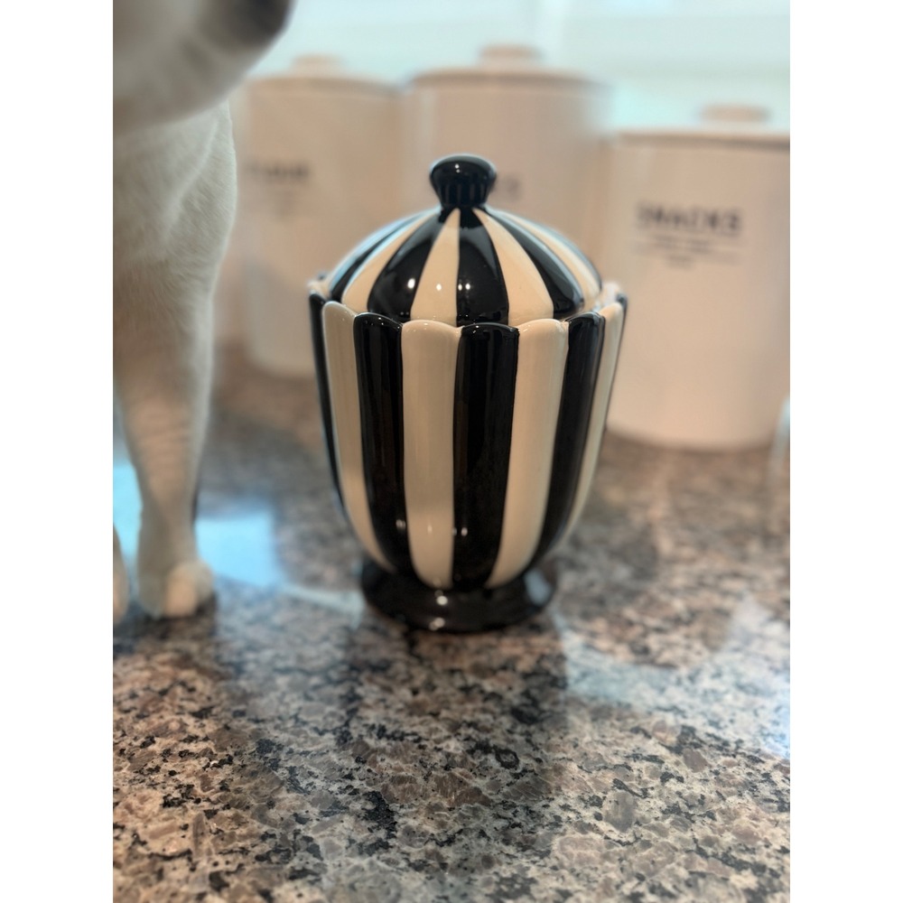 Potter's Studio Black and White Striped Ceramic Canister with Lid